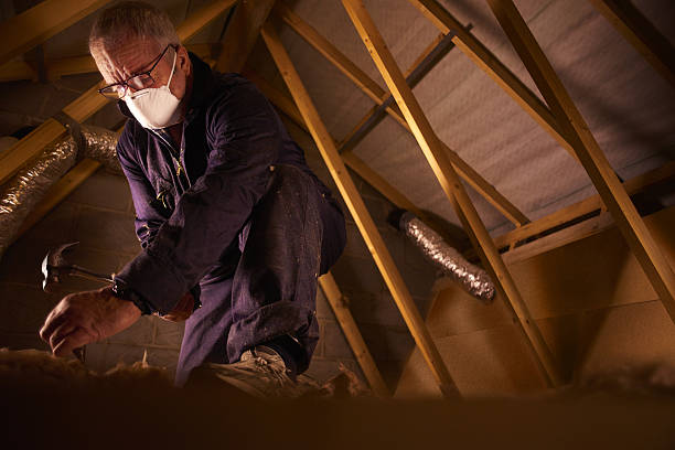 Best Types of Insulation in Fort Myers Shores, FL